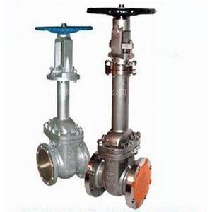 WZ41H波紋管閘閥