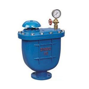 復(fù)合式排氣閥CARX